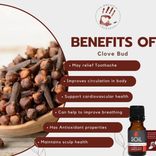 Clove Bud Essential Oil 10ml - Image 2