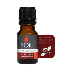 Clove Bud Essential Oil 10ml