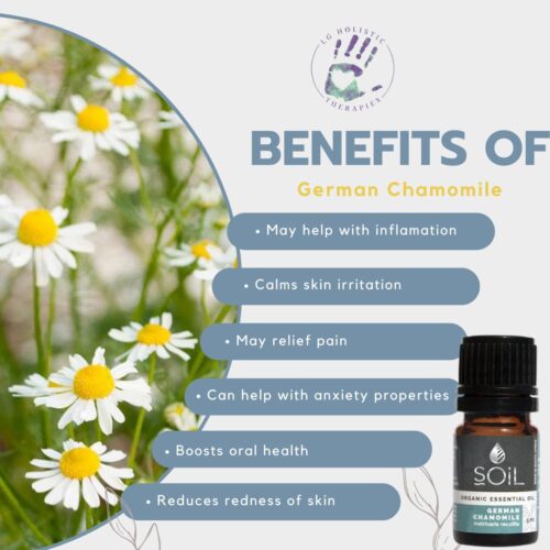 Chamomile Essential Oil (German) 5ml - Image 2