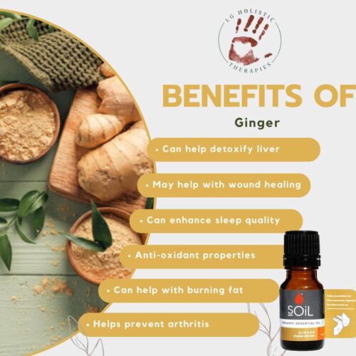 Ginger Essential Oil 10ml - Image 2