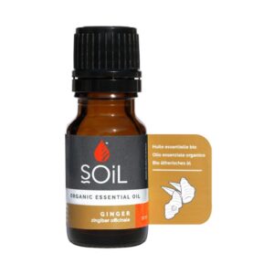 Ginger Essential Oil 10ml