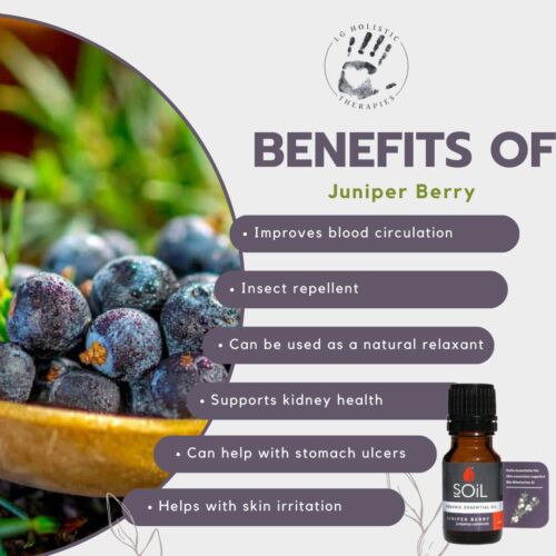 Juniper Berry Essential Oil 10ml - Image 2