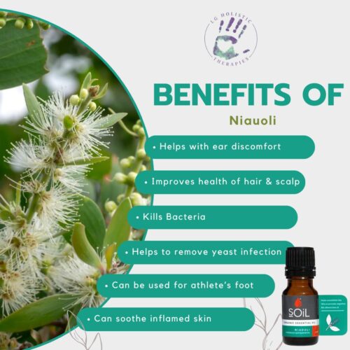 Niaouli Essential Oil 10ml - Image 2