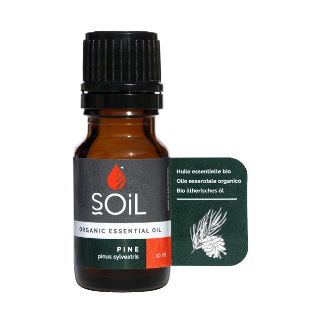 Pine Essential Oil 10ml