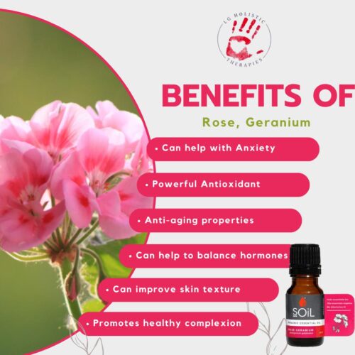 Rose Geranium Essential Oil 10ml - Image 2