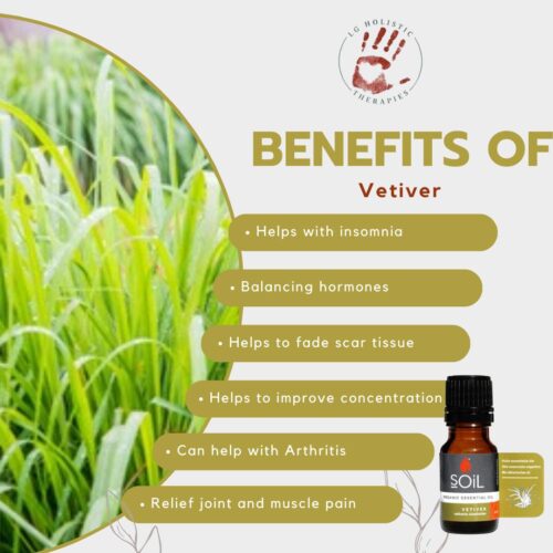 Vetiver Essential Oil 10ml - Image 2